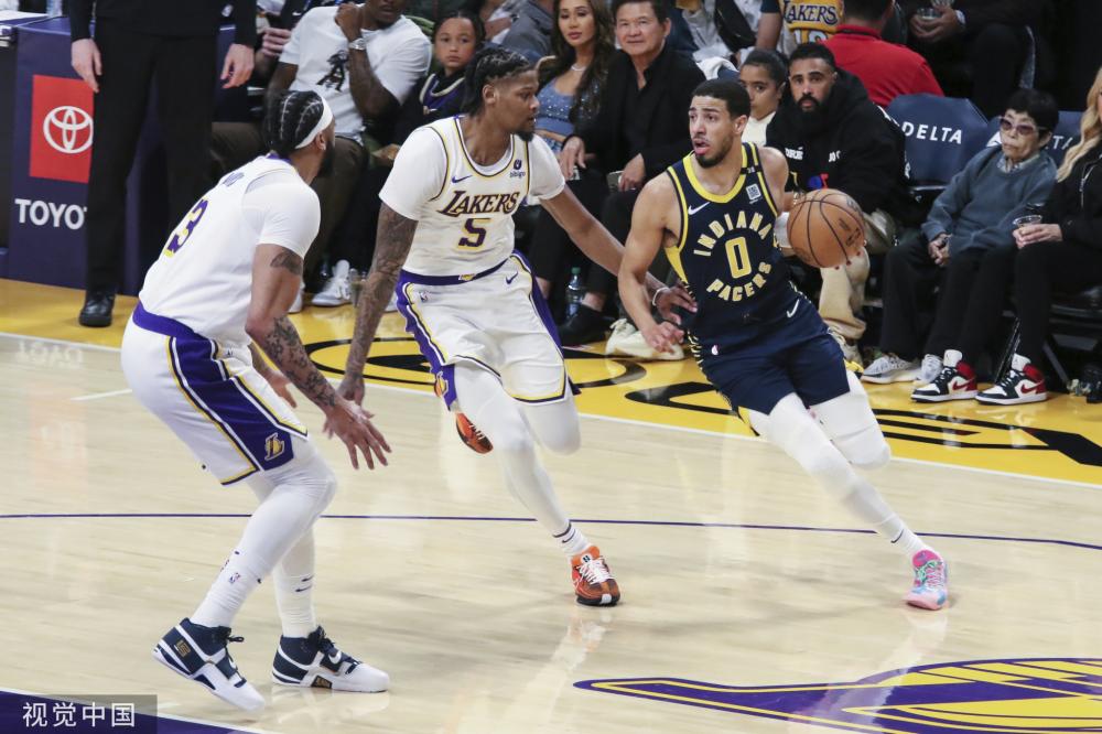 活动安排 活动安排